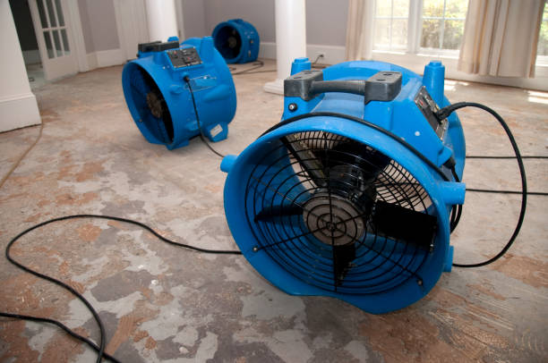 Best Flood restoration services  in Springfield, VA