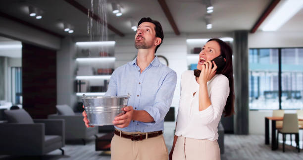 Best Water damage cleanup near me  in Springfield, VA